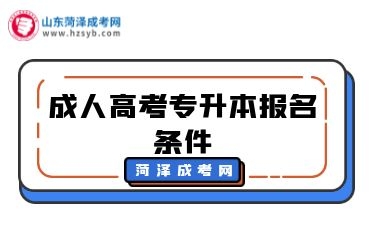 成考報名條件